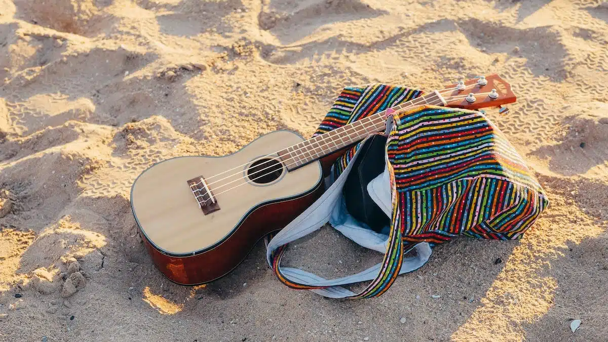 valise plage