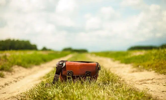 Les sacs Saint Laurent ont vraiment la cote