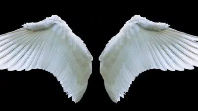 Pourquoi se procurer un pendentif avec des ailes d’ange gardien ?