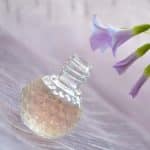 Tout savoir sur les parfums de niche